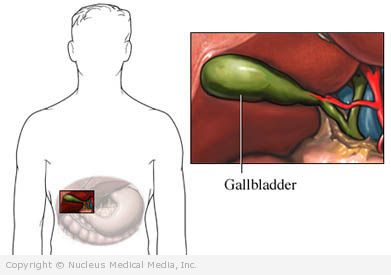 form definition body Description, treatment Gallbladder cancer   diagnosis,